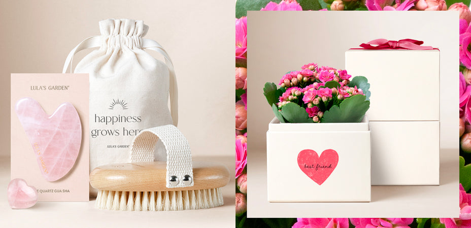 Celebrate Friendship Day with Lula’s Garden: Succulent Collection for Your Friends
