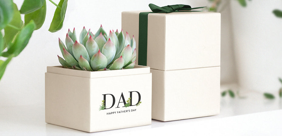 The Ultimate Father’s Day Succulent Gift Guide: Find the Perfect Green Companion for Every Dad
