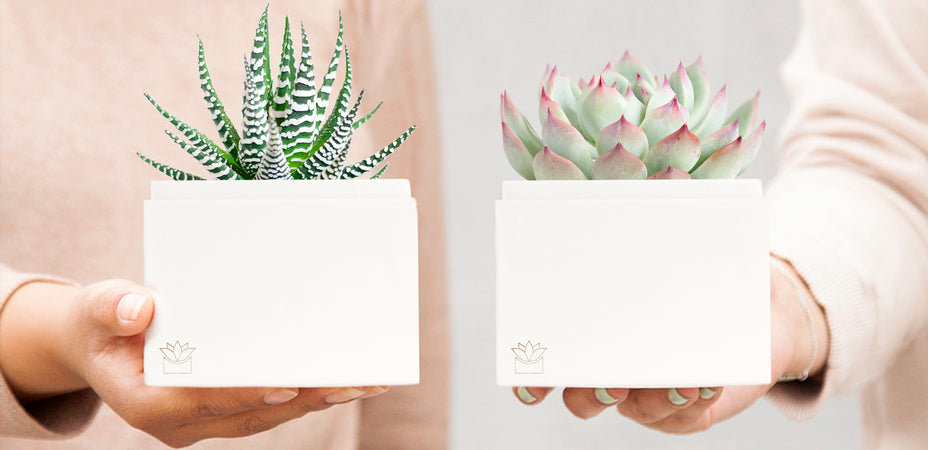 Christmas Gifts For Her: Unique Gifts For The Holidays