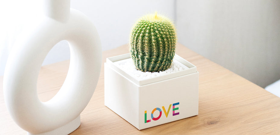 Supporting LGBTQ+ Organizations: Lula's Garden's Commitment to Pride Month