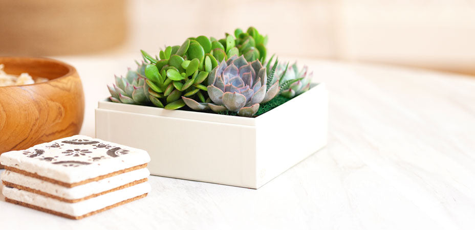 How To Give A Lasting Gift