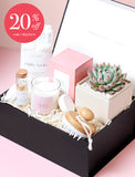 Succulents in gift box. - Image 