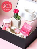 Succulents in gift box. - Image 