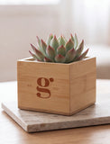 A small succulent plant in a square light wood planter box with an engraved stylized 'g' and 'est. 2021' text, placed on a stone coaster on a wooden table. - Image 
