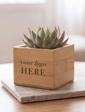 A small succulent plant in a square light wood planter box with the text 'your logo HERE' printed on the front, placed on a stone coaster on a wooden table. - Image 
