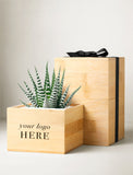 A light natural wood gift box planter with a green striped succulent plant, positioned next to a larger matching wooden gift box with a black ribbon, on a neutral light gray background. - Image 
