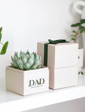 Succulent plant in a cream-colored gift box labeled DAD with a dark green ribbon on a white shelf. - Image 