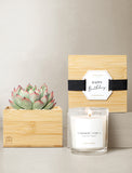 Succulents in gift box and candle. - Image 