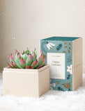 Holiday Bliss Garden - Image 