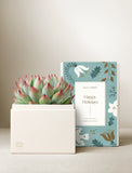 Holiday Bliss Garden - Image 