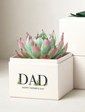 Succulent plant with pink-tipped leaves in a white gift box labeled DAD Happy Father's Day. - Image 