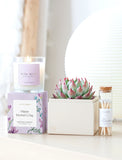 Succulents in gift box next to candle and matches. - Image 
