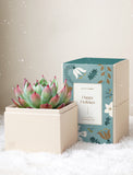 Holiday Bliss & Candle & Matches - Image 