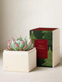 Christmas Bliss & Scented Candle & Matches - Image 