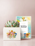Succulents in gift box. - Image 