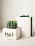 Round green cactus in a white gift box labeled DAD, topped with a dark green ribbon bow for Father's Day. - Image 