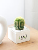 Small green cactus in a white gift box labeled DAD Happy Father's Day, set on a wooden table with white decorative stones. - Image 