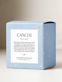 Succulents in gift box. - Image 