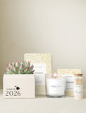 Succulent in gift box next to candle and matches. - Image 