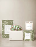 Succulents in gift box and candle. - Image 