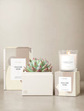 Succulents in gift box and candle. - Image 