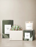 Succulents in gift box and candle. - Image 