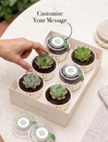 Succulents in mini cups with an occasion. - Image 