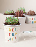 Succulents in mini cups with an occasion. - Image 