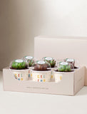 Succulents in mini cups with an occasion. - Image 
