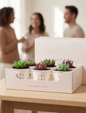 Succulents in mini cups with an occasion. - Image 