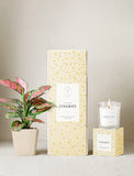 Plant next to gift box and candle. - Image 