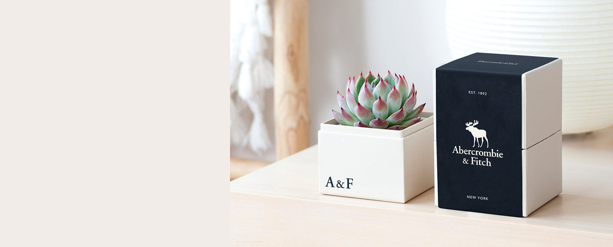 Corporate gifting