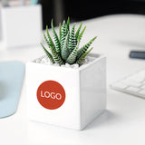 Succulents in gift box. - Image 