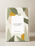 Succulents in gift box. - Image 