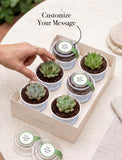 Succulents in mini cups with an occasion. - Image 