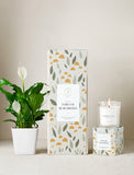 Plant next to gift box and candle. - Image 