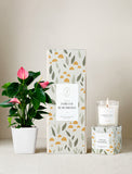 Plant next to gift box and candle. - Image 