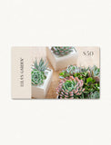 Succulents in gift box. - Image 