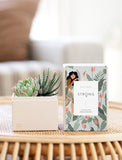 Succulents in gift box. - Image 