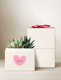 Two succulents in a cream gift box featuring a pink heart with the word bestie and a red ribbon on top. - Image 