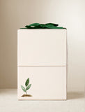 Beige gift box with gift wrap. - Image 