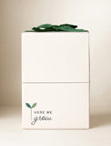 Gift box with imprint and green bow. - Image 