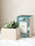 Holiday Glow Garden - Image 