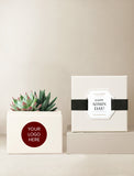 Succulents in gift box. - Image 