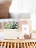 Succulents in gift box. - Image 