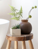 Succulents in a square cream planter next to a brown ceramic vase with greenery on a rustic wooden stool. - Image 