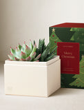 Christmas Glow Garden - Image 