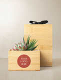 Succulents in gift box. - Image 