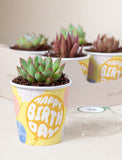 Succulents in mini cups with an occasion. - Image 