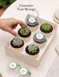 Succulents in mini cups with an occasion. - Image 